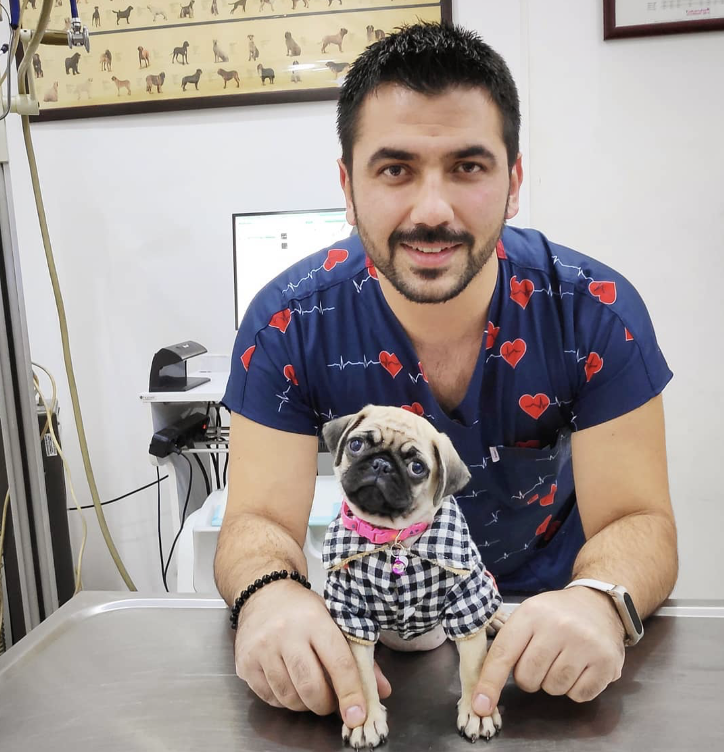 Veteriner Hekim Cihan Culha